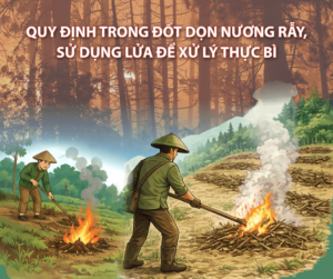 Quy dinh dot thuc bi