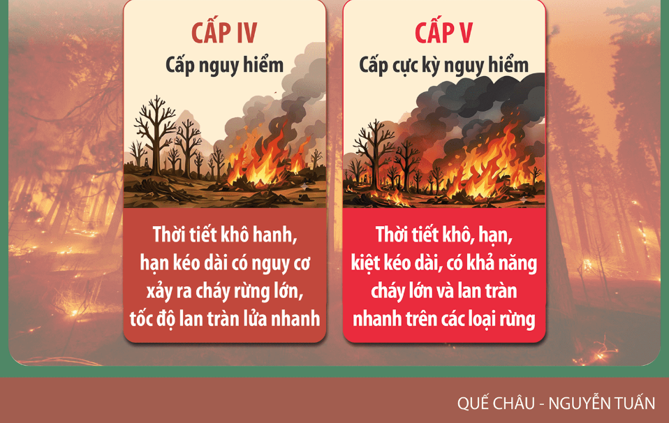Quy dinh dot thuc bi 5 1784601332
