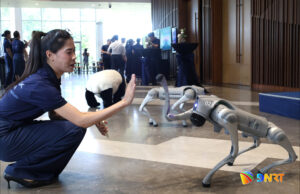 Robot cho Unitree Robotics