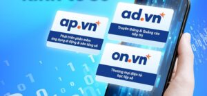 ten-mien-apvn-advn-onvn