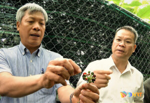 Chu tinh lam viec voi cac xa co vung duoc lieu 8-2026_5
