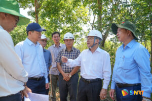 Giam sat hoat dong mo khoang san Nui Thanh, Tam Anh_1