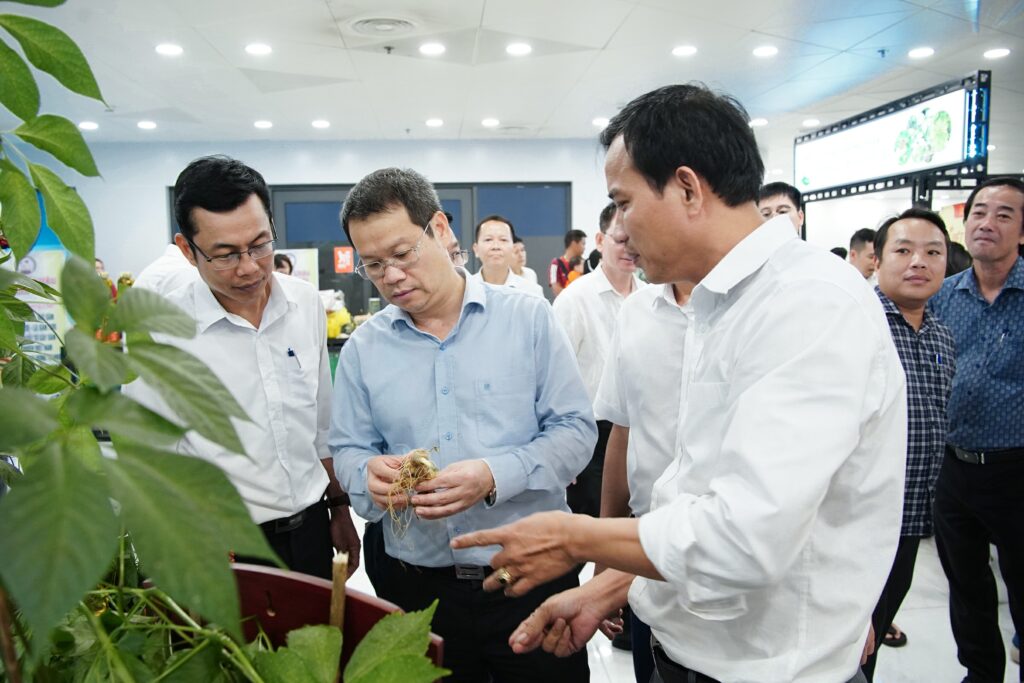 Tối 28 và 29-8 diễn ra Chương trình giới thiệu, quảng bá sản phẩm Sâm Ngọc Linh và dược liệu thành phố Đà Nẵng năm 2026