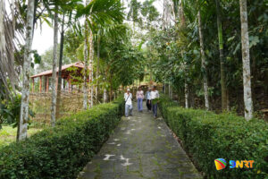 dsc01252_watermarked