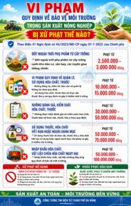 Dieu 41 nghi dinh 45_2022_ND-CP