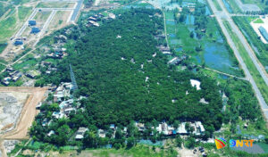 Khu di tich doi Trung Son