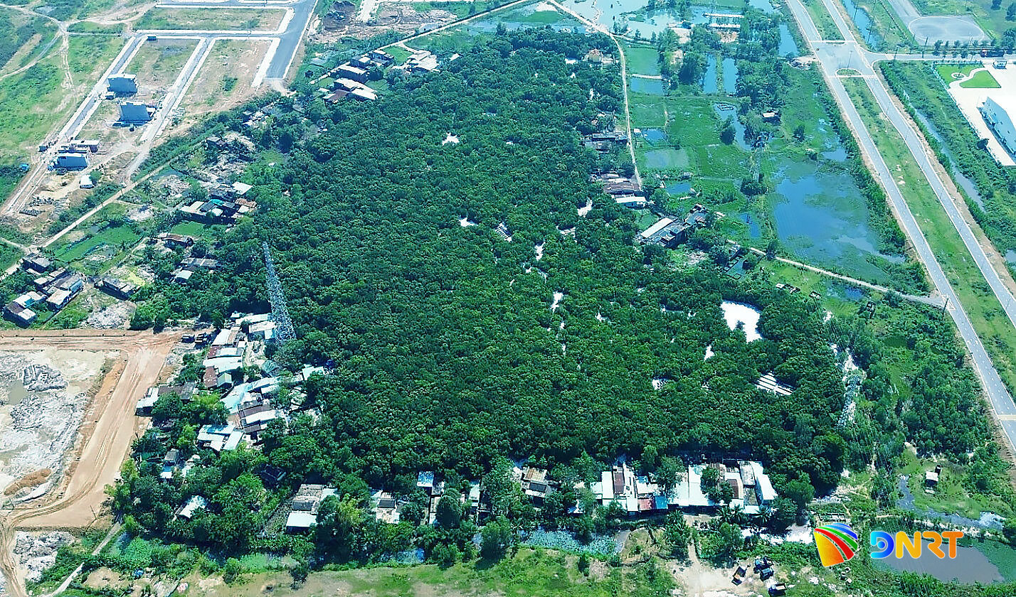 Khu di tich doi Trung Son 1789699336