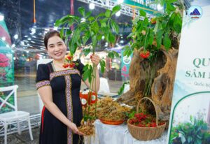 Quang ba sam Ngoc Linh