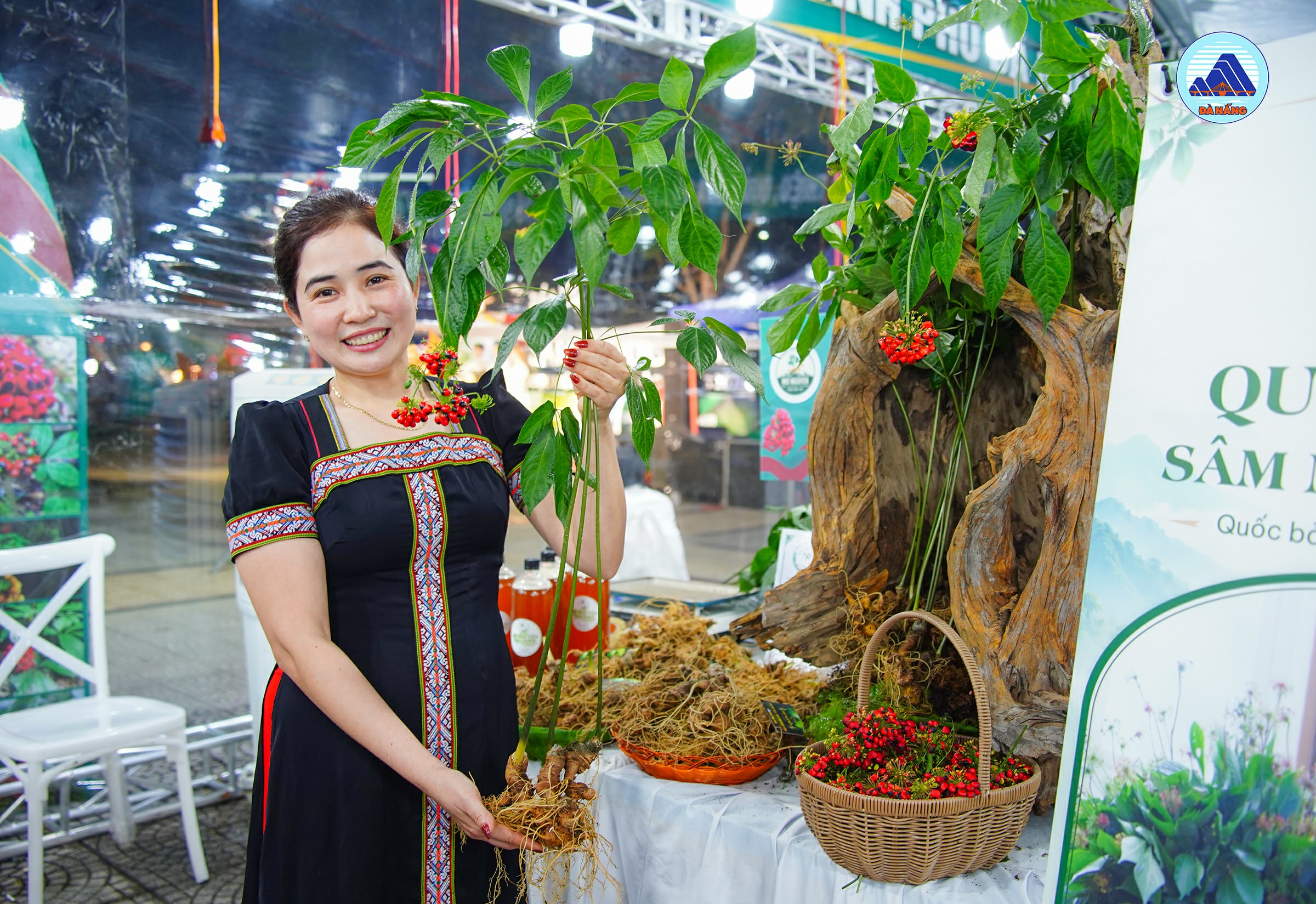 Quang ba sam Ngoc Linh 1788488910