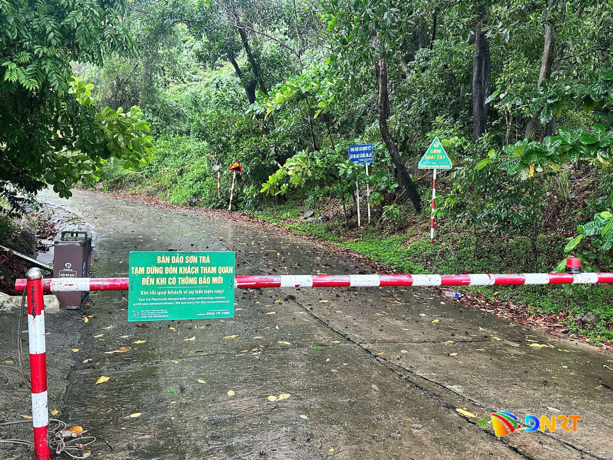 tr12 b1 1789974438