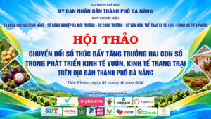 1790772641992_8997047048907718033_g3422192732255718196_dd96757b0f1c4ab539978e0abae564db