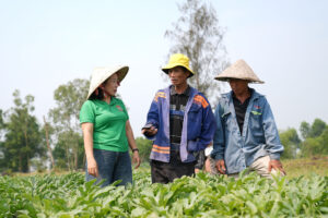 anh-1(1) (3)