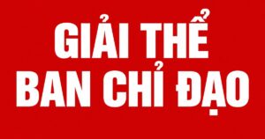 giai-the-ban-chi-dao-2-dong-1790829574214920606530-0-89-940-1593-crop-1790829582697131966981