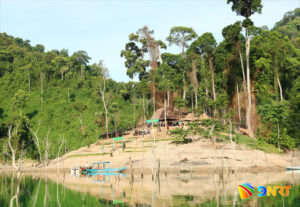 images.baoquangnam.vn-storage-newsportal-2020-12-30-107031-_tnb-42465-01-3(1)