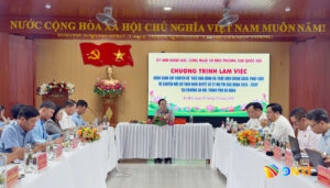 quang-canh-buoi-lam-viec-2-