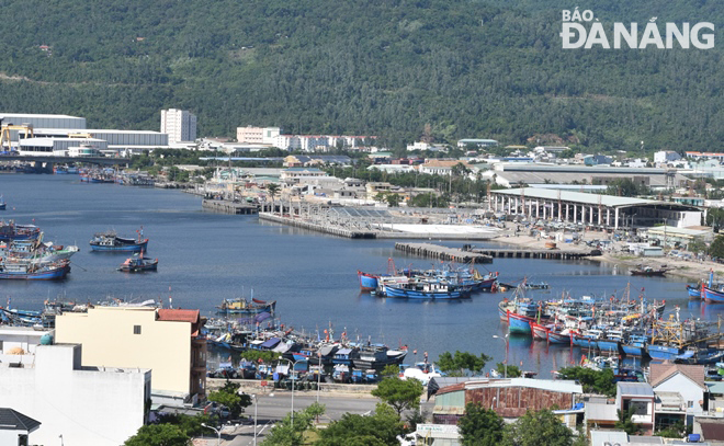 a view of tho quang fishing wharf and its seafood wholesale market