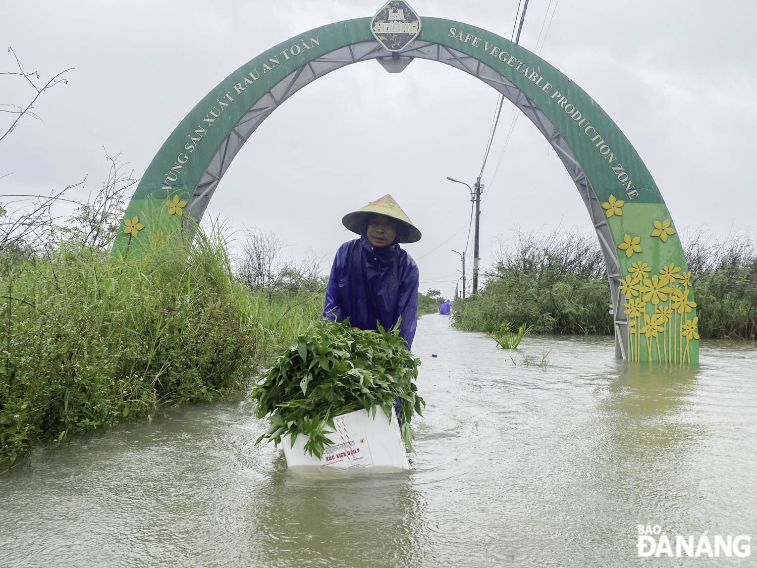 anh huong bao so 1 nam 2025