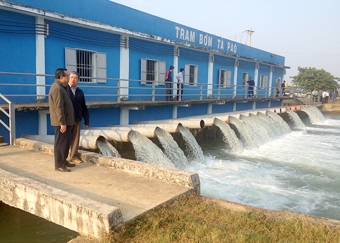 anh minh hoa 17