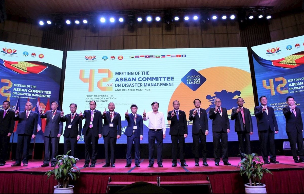 asean committee on disaster management
