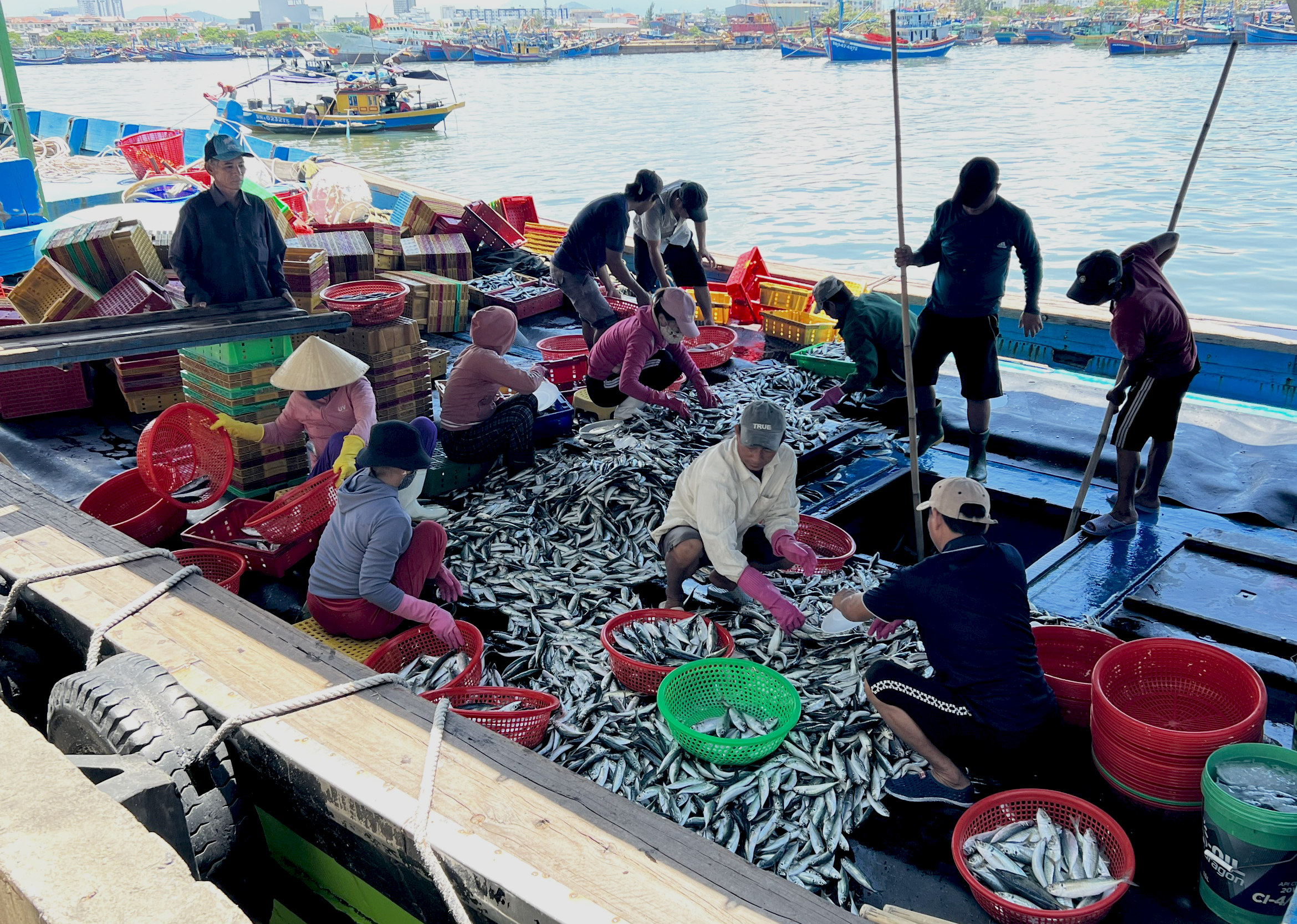 at the tho quang fishing port and wharf