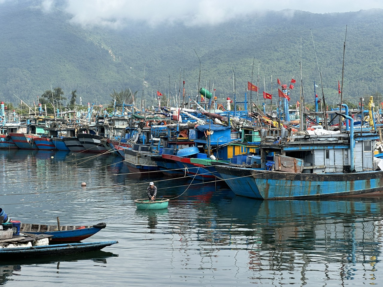 au thuyen tho quang 050225