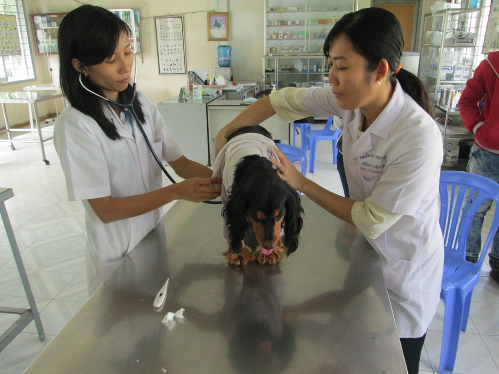 bac si thu y