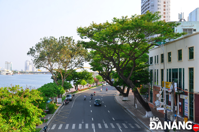 bach dang road