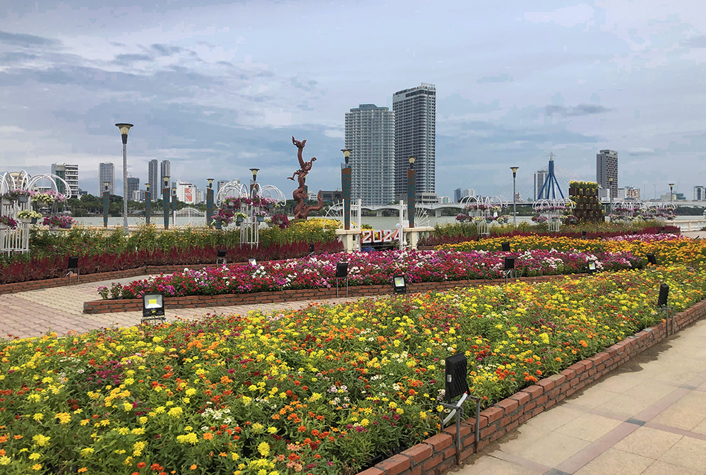 bai du thi thiet ke duong hoa tet at ty 2025 2