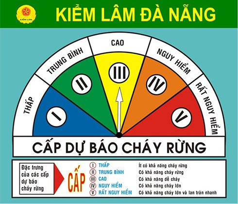 c e1 ba a5p d e1 bb b1 b c3 a1o ch c3 a1y r e1 bb abng