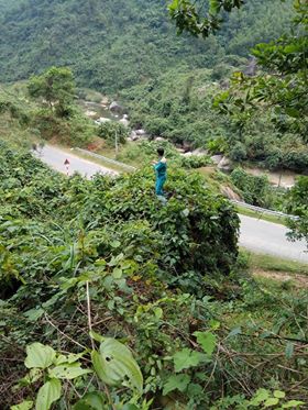cap quang