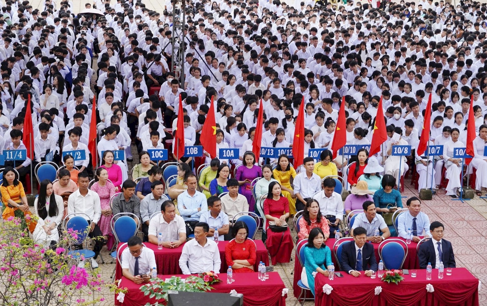 chao co dau tuan