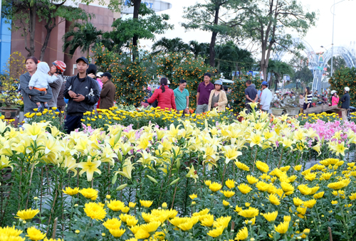cho hoa tet