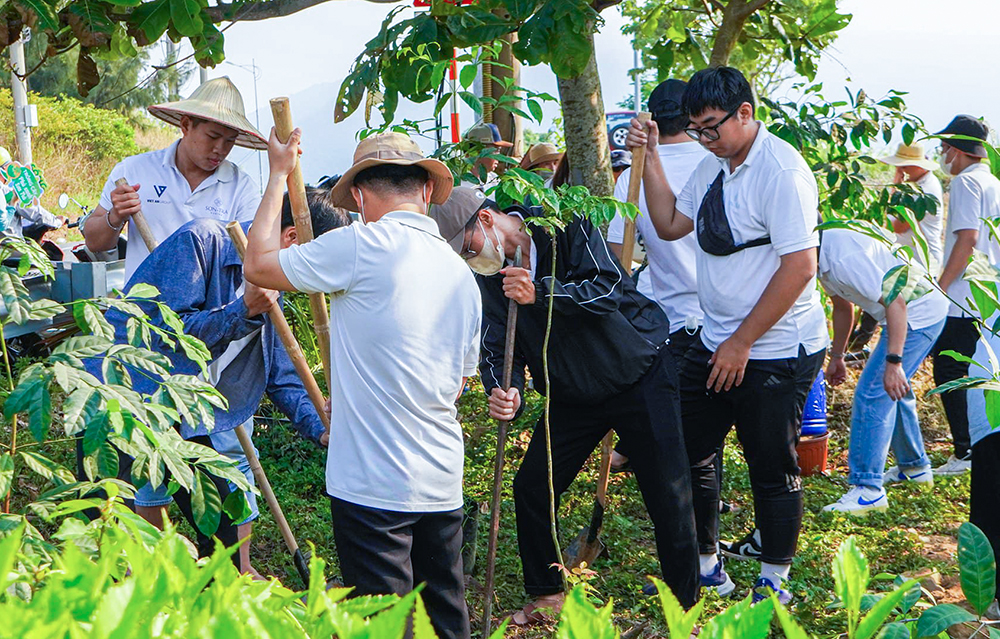 clean up son tra sot 1 nam 2024 3