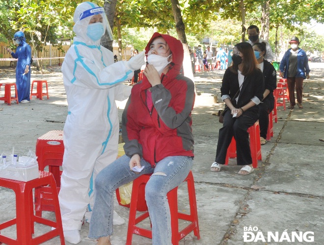 collecting a nose swab