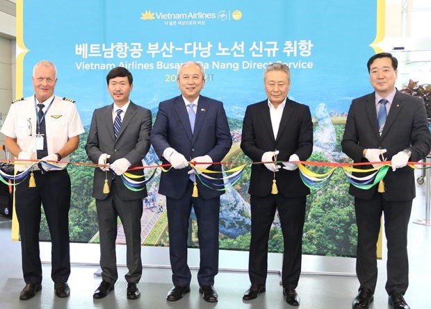 da nang busan direct service