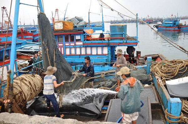 danh bat ca thuy san