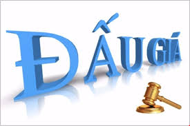 dau gia