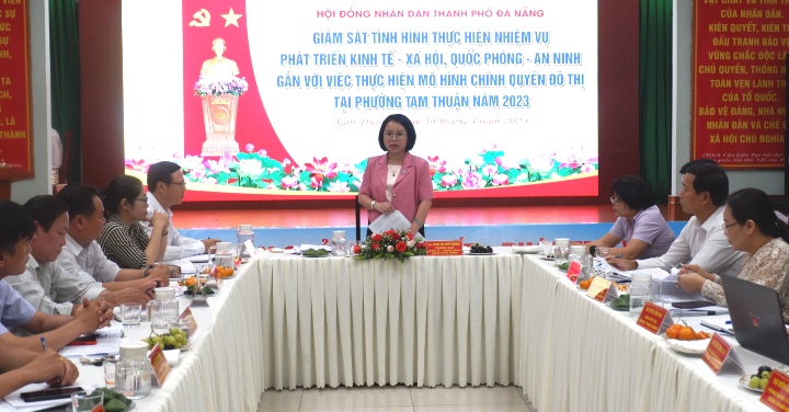 doan giam sat hdnd lam viec voi phuong tam thuan