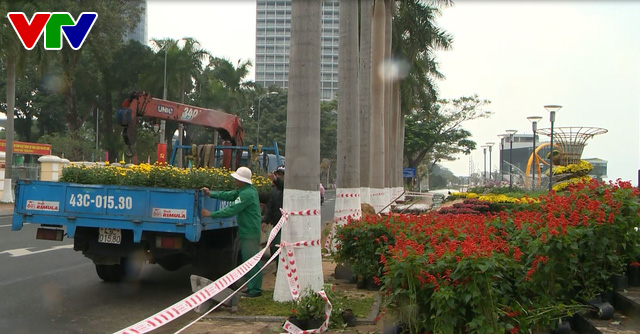 duong hoa 2