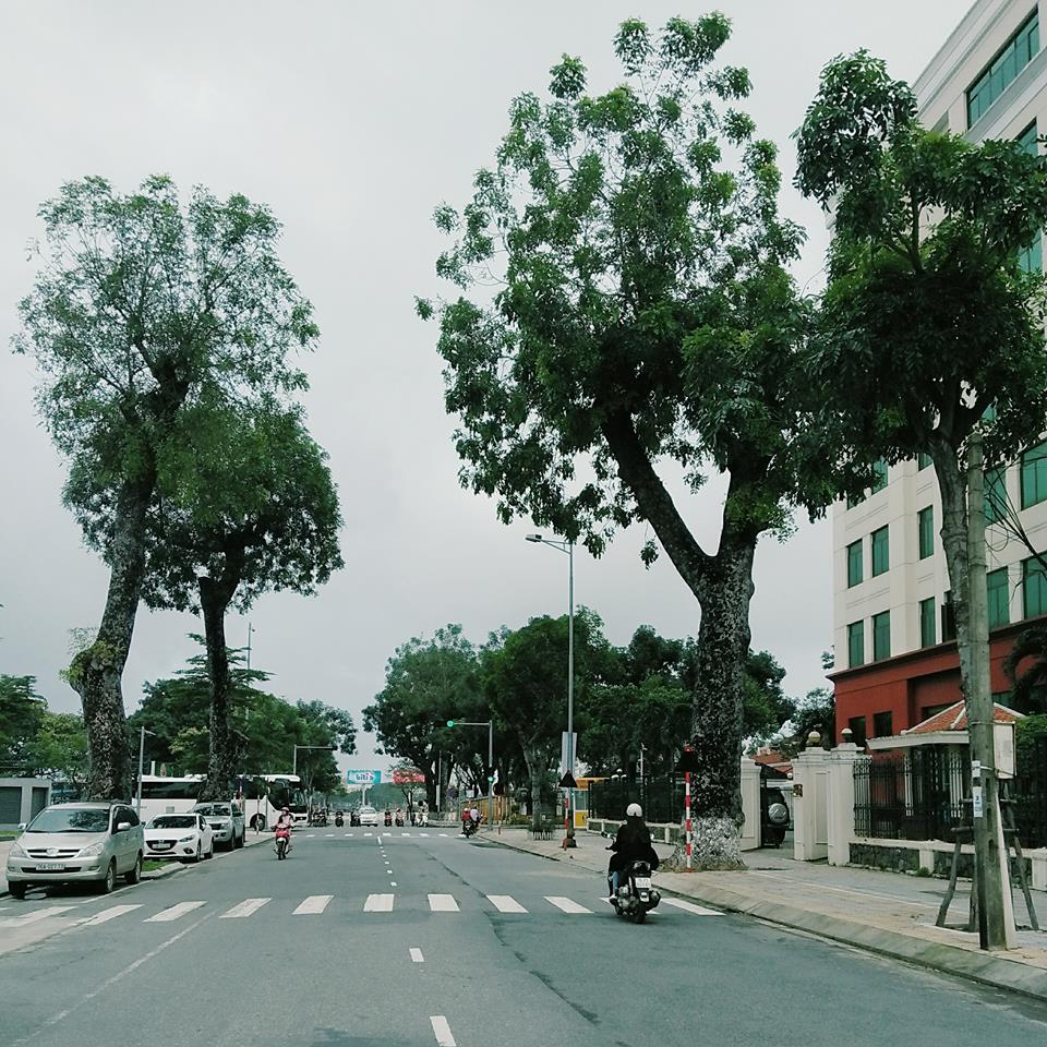 duong pho da nang 2