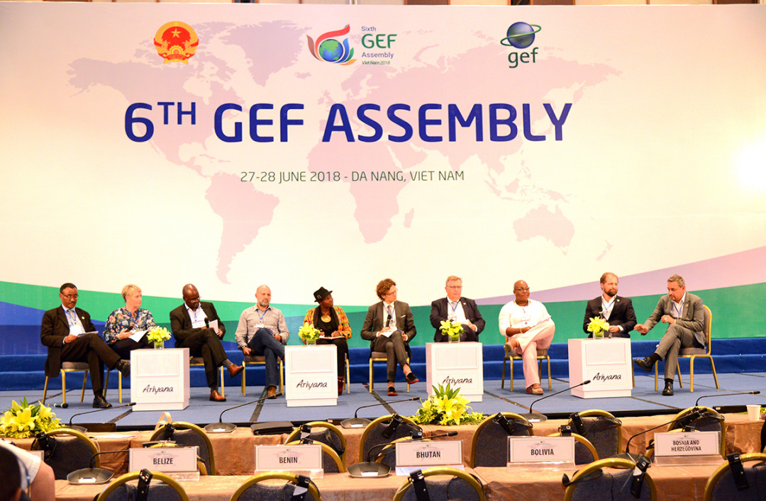 gef11