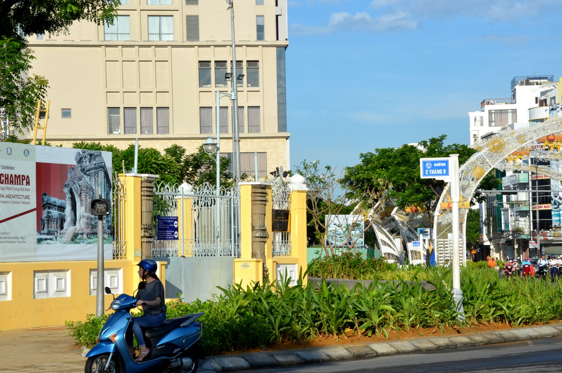 hoa trang tri 3