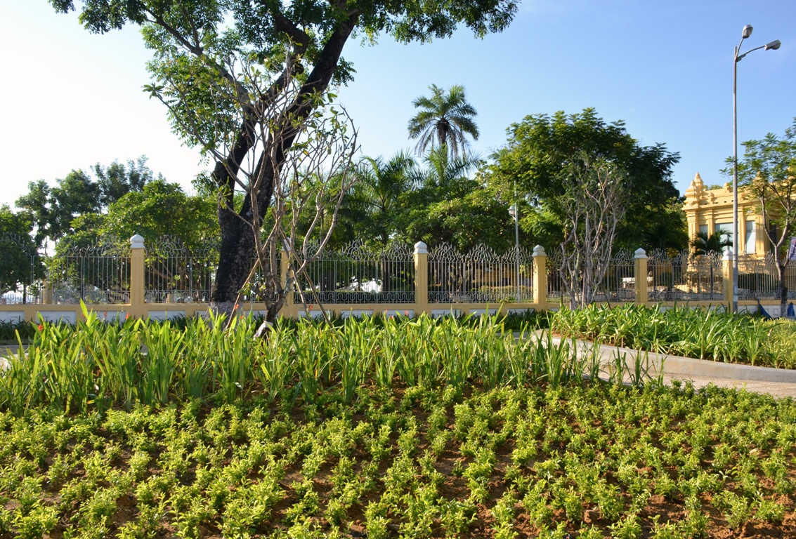 hoa trang tri 4
