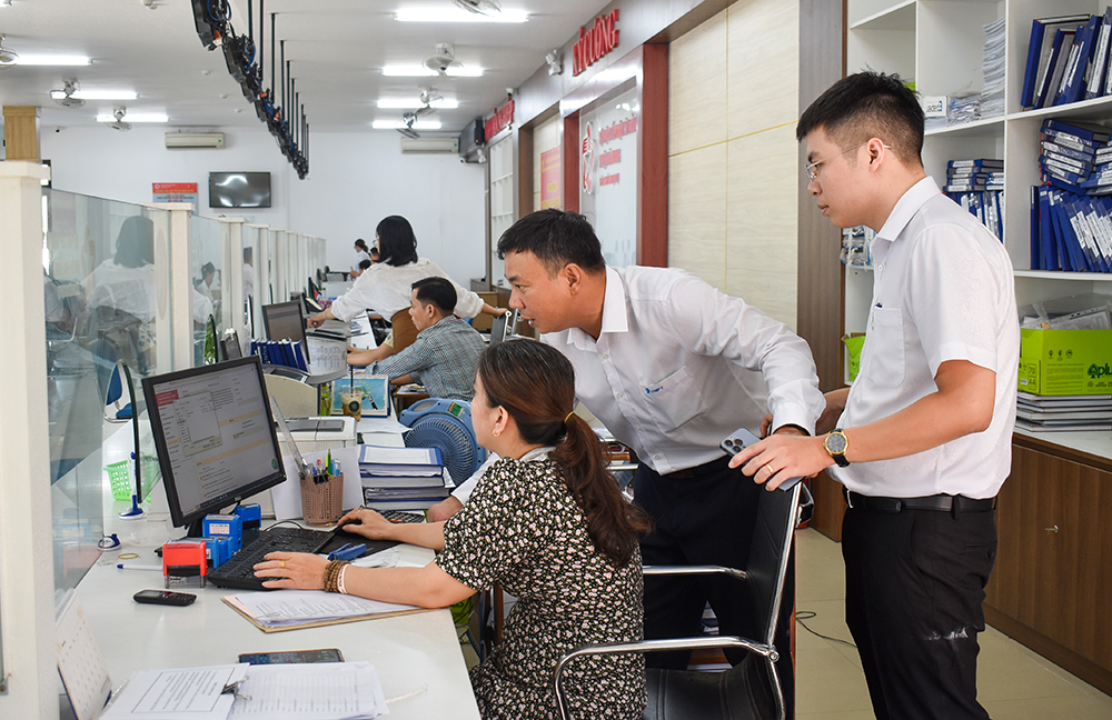 hoa vang thu nghiem chinh quyen 2 cap 2