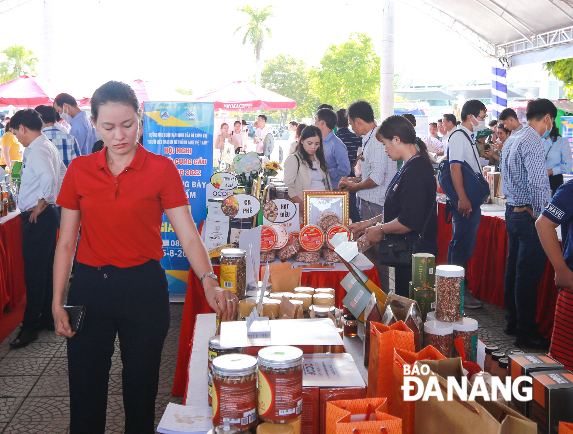 images1680802 e2