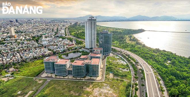 images1775436 images1775415 1 quang