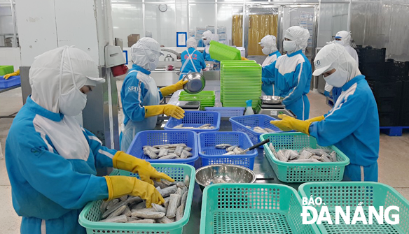 inside of seadanang company