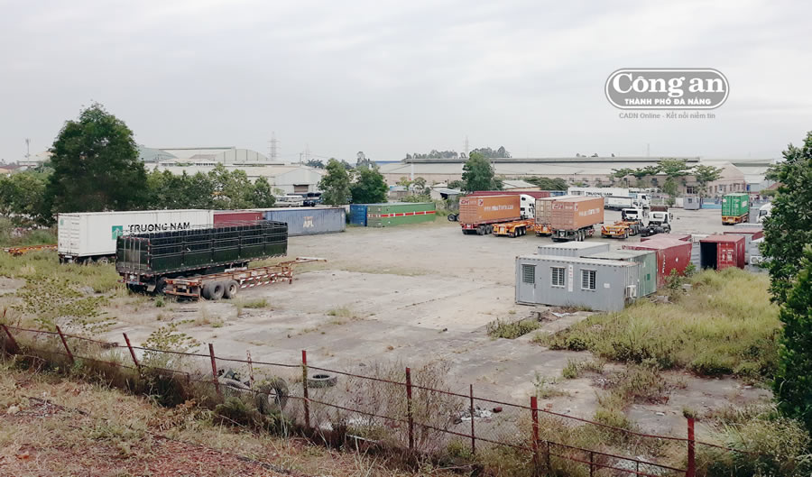 kcn hoa cam 2