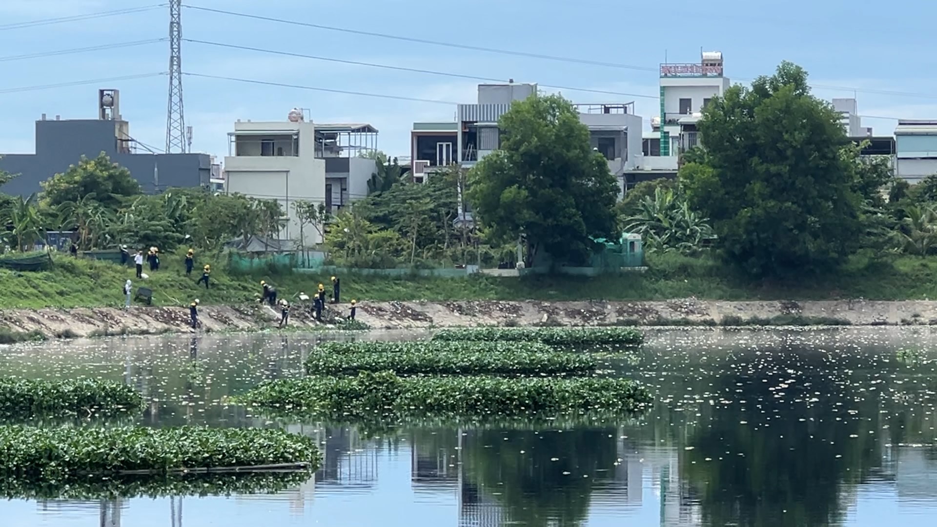 khac phuc ho hoa phu o nhiem