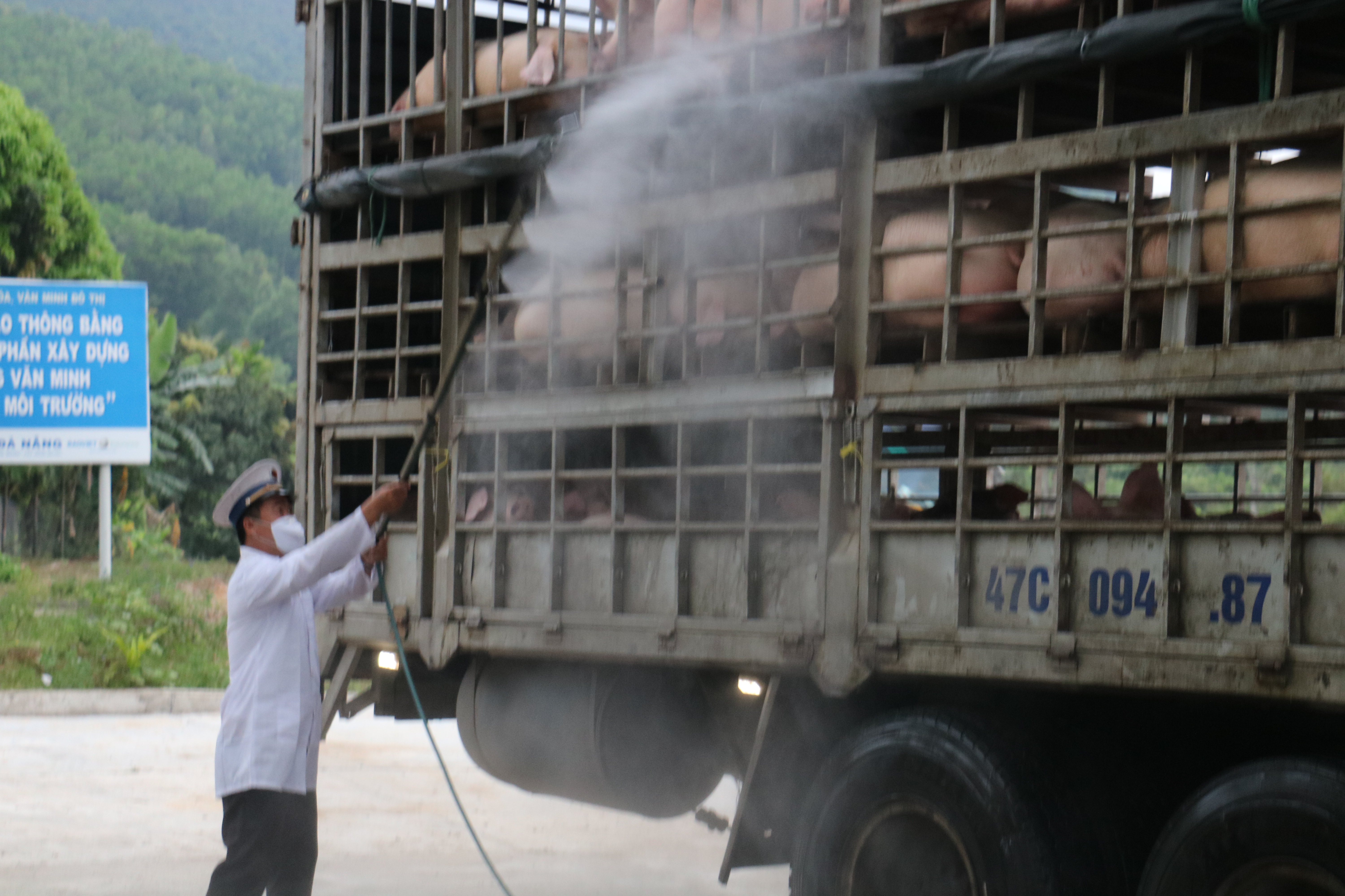 khu trung xe van chuyen heo